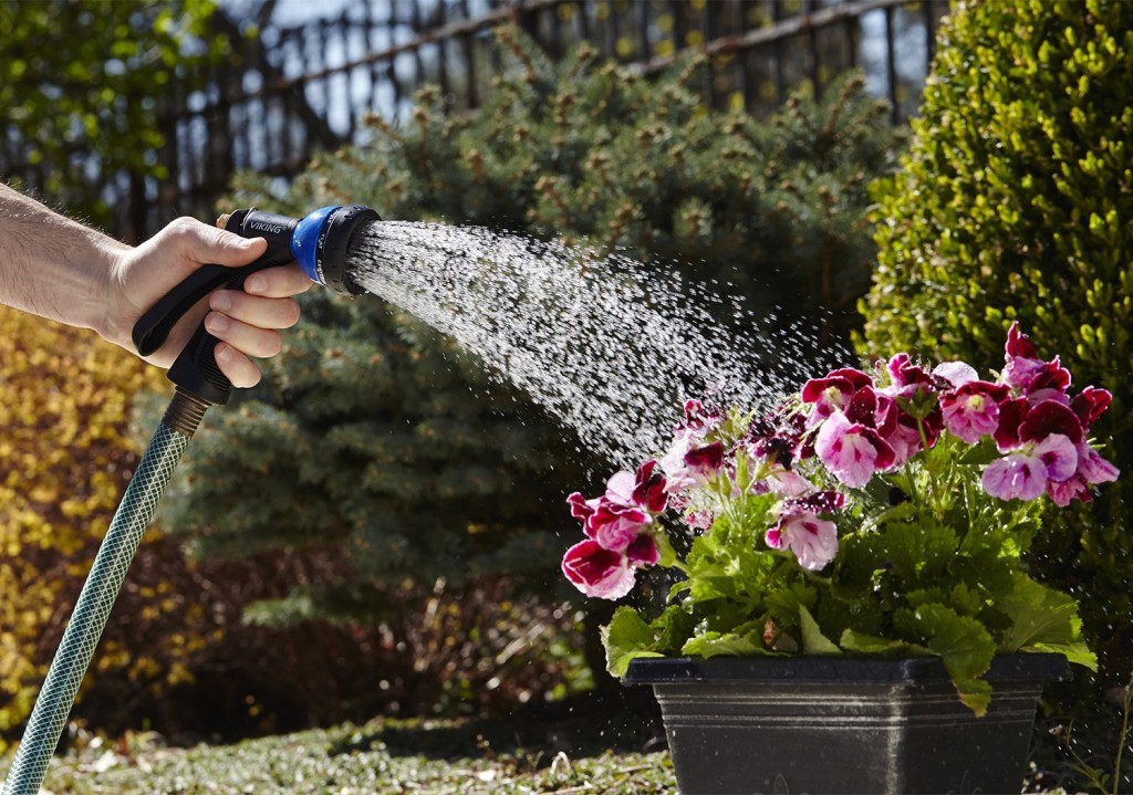 Watering Wisely for Lawn Care Gardeners Share 5 Important Tips