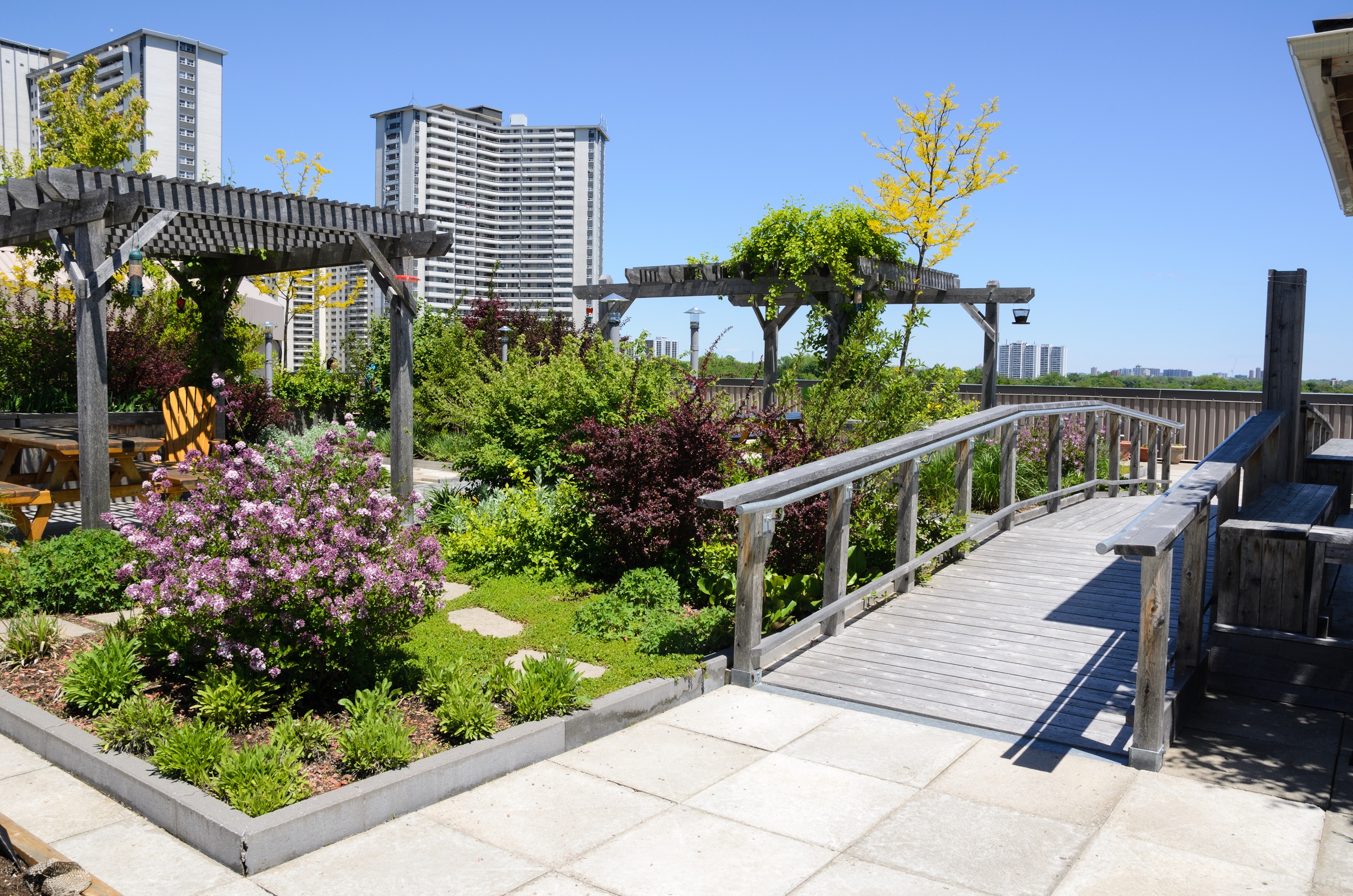 5 Green Rooftop Deck Design Ideas | | The Garden and Patio ...