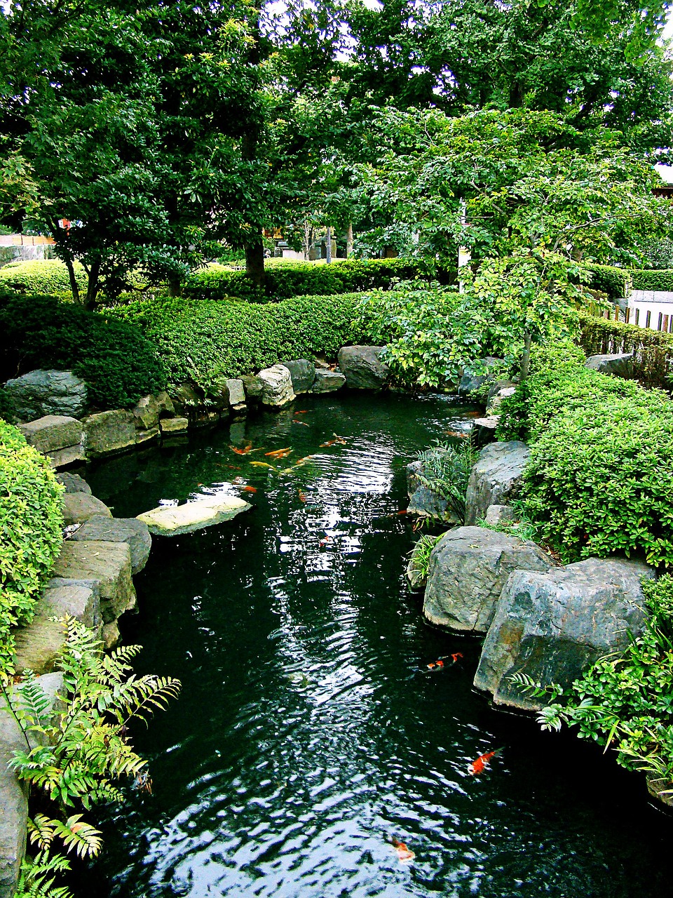 How To Build A Backyard Koi Pond | | The Garden and Patio ...