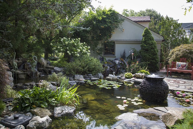 How To Build A Backyard Koi Pond The Garden And Patio Home Guide