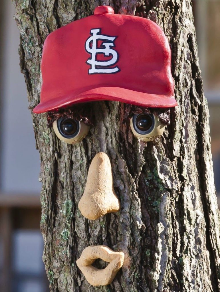 Tree Faces The Garden and Patio Home Guide