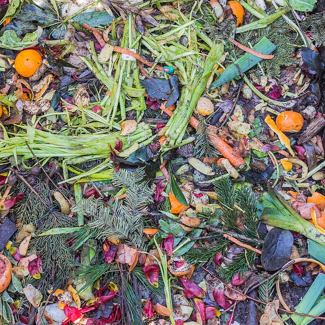 Can You Compost Orange Peels The Garden and Patio Home Guide