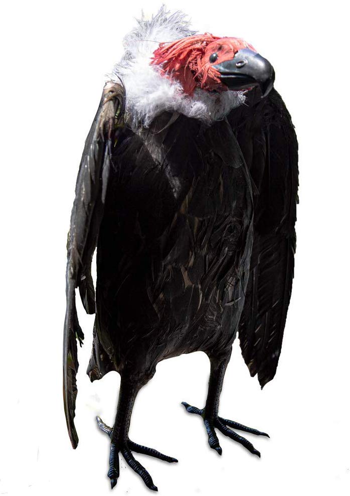 Dead Vulture Decoy The Garden and Patio Home Guide