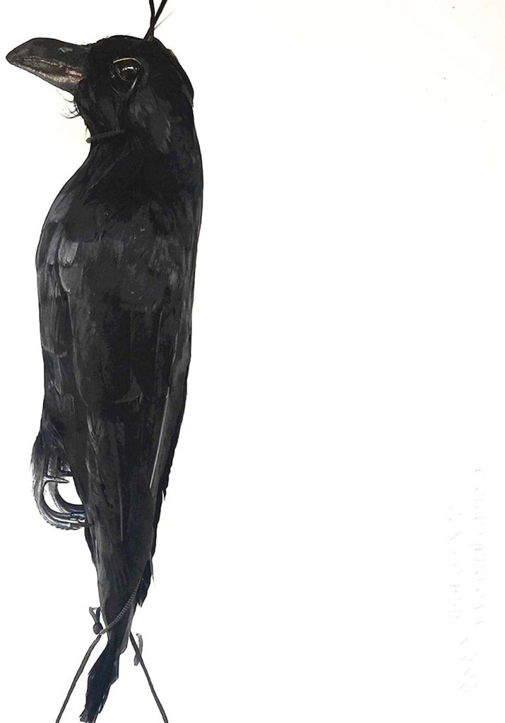Dead Crow Decoy The Garden and Patio Home Guide