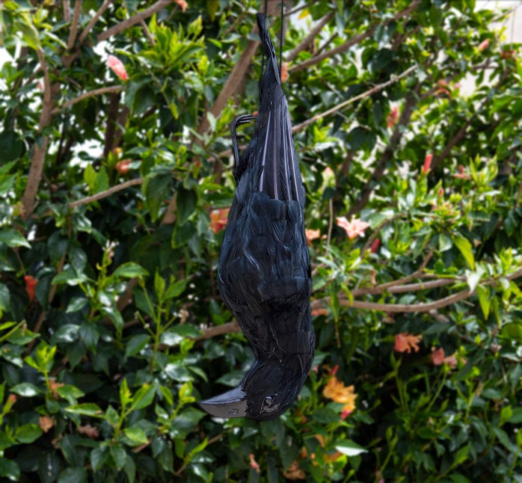 Dead Crow Decoy The Garden and Patio Home Guide