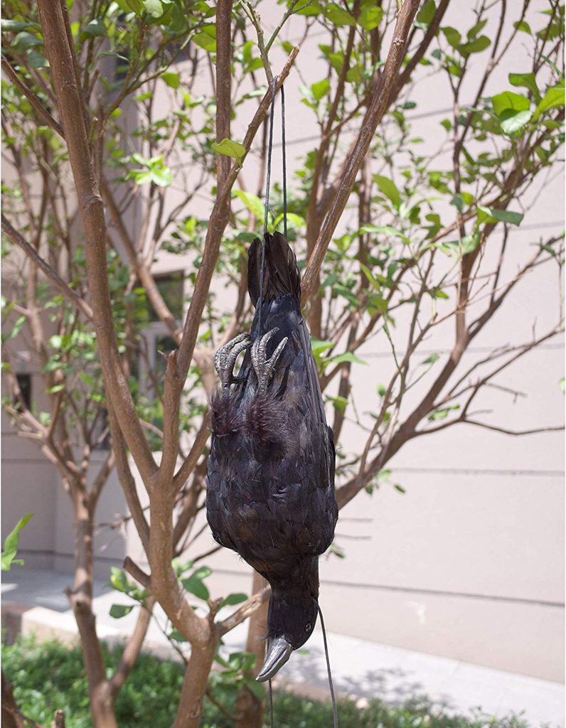 Dead Crow Decoy The Garden and Patio Home Guide