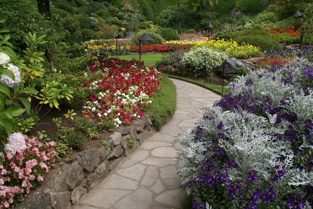 Garden Path Ideas