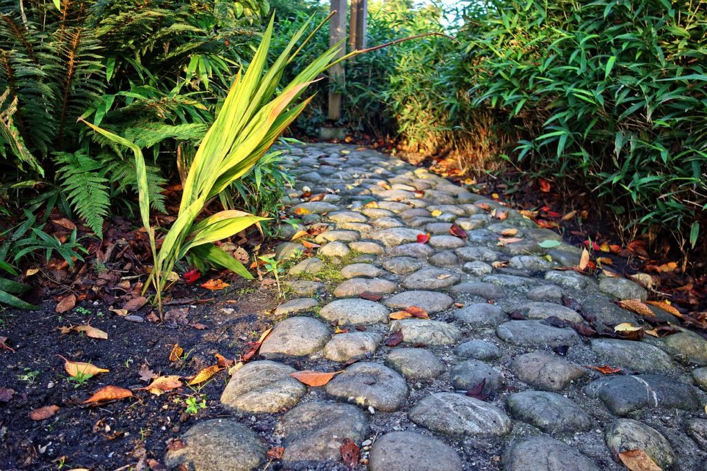 Garden Path Ideas