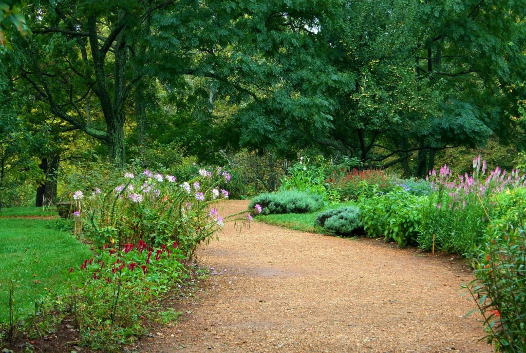 Garden Path Ideas