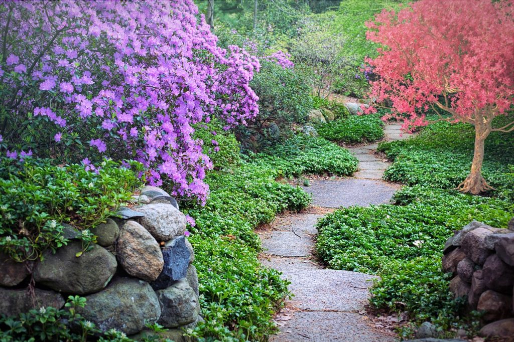 Garden Path Ideas