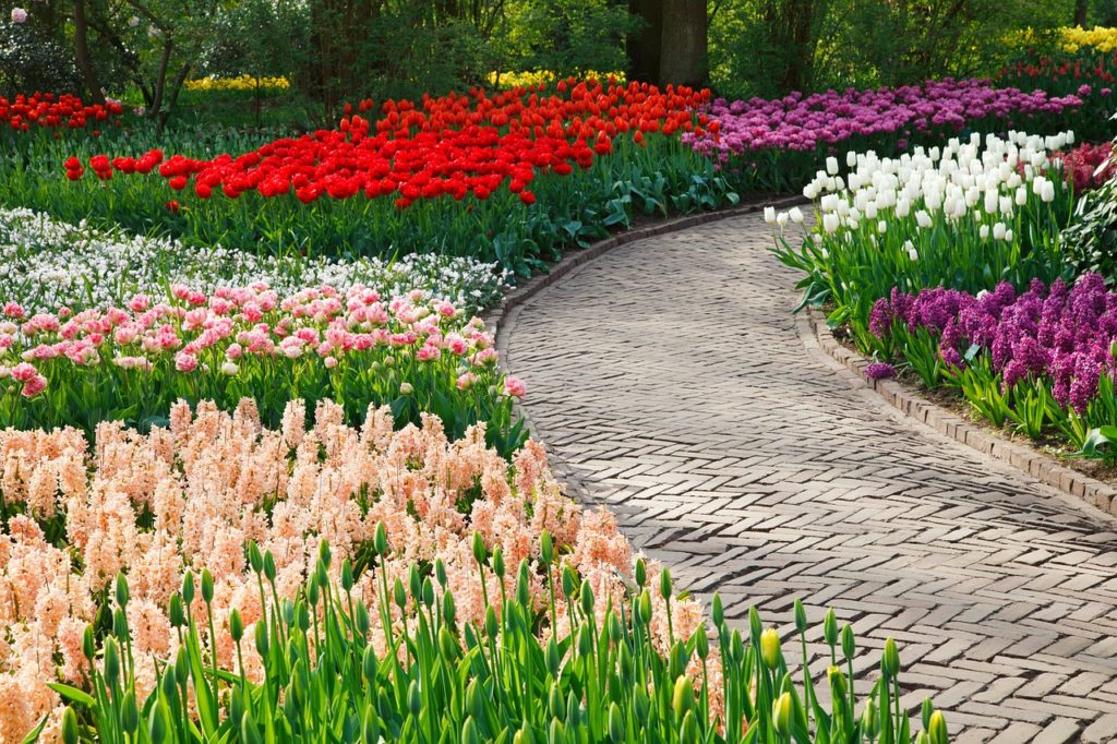 Garden Path Ideas