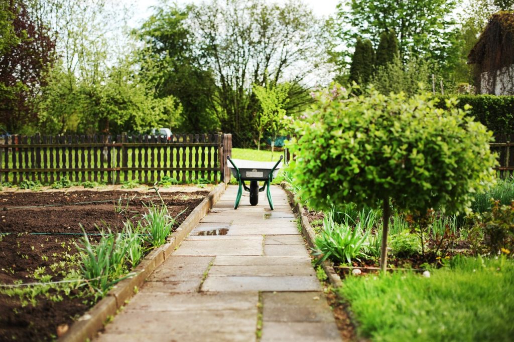 Garden Path Ideas