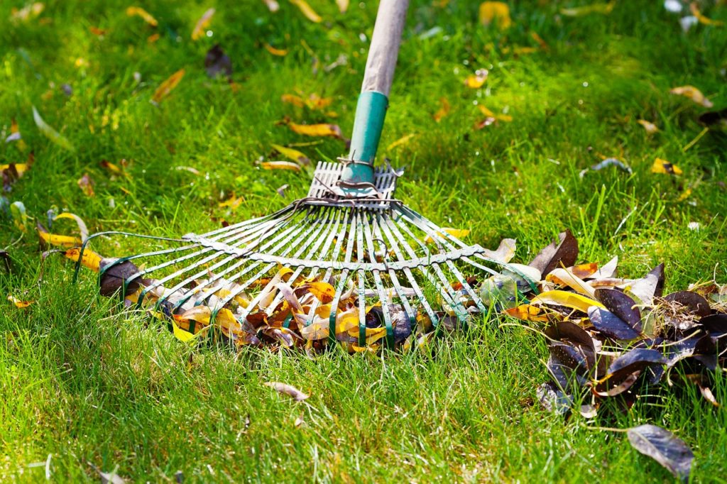 Top Tips When Looking For The Best Landscaping Services