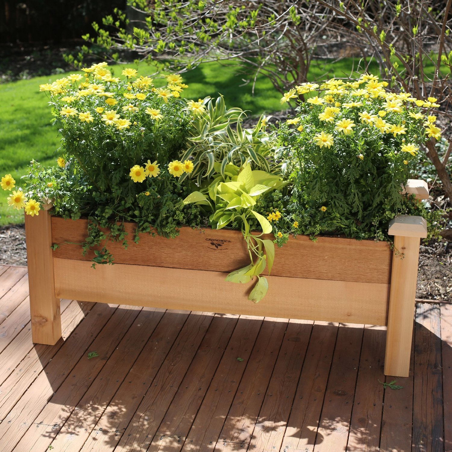 The Best Advice For Picking Patio Planters | The Garden and Patio Home ...
