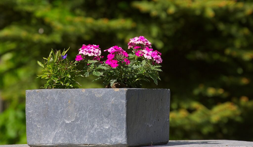 The Best Advice For Picking Patio Planters