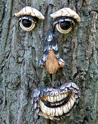 Tree Faces