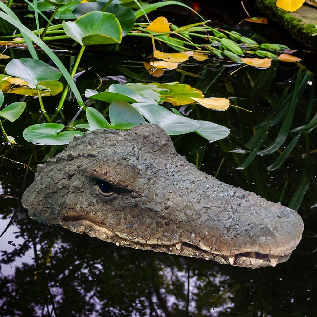 Alligator Decoy