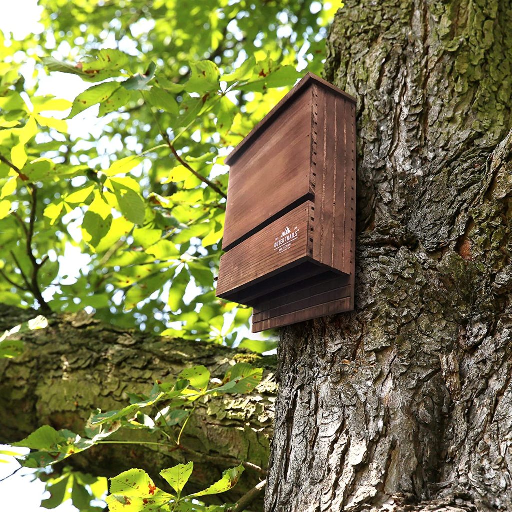 How To Attract Bats To Your Bat House