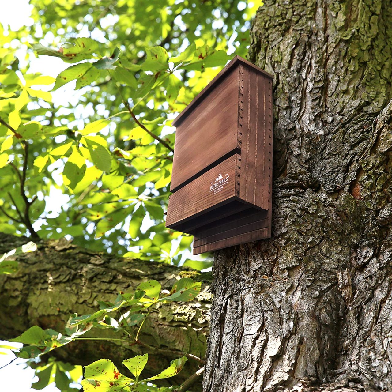 How To Attract Bats To Your Bat House The Garden and Patio Home Guide