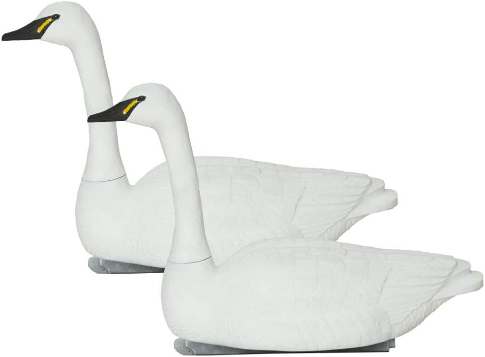 Swan Decoy