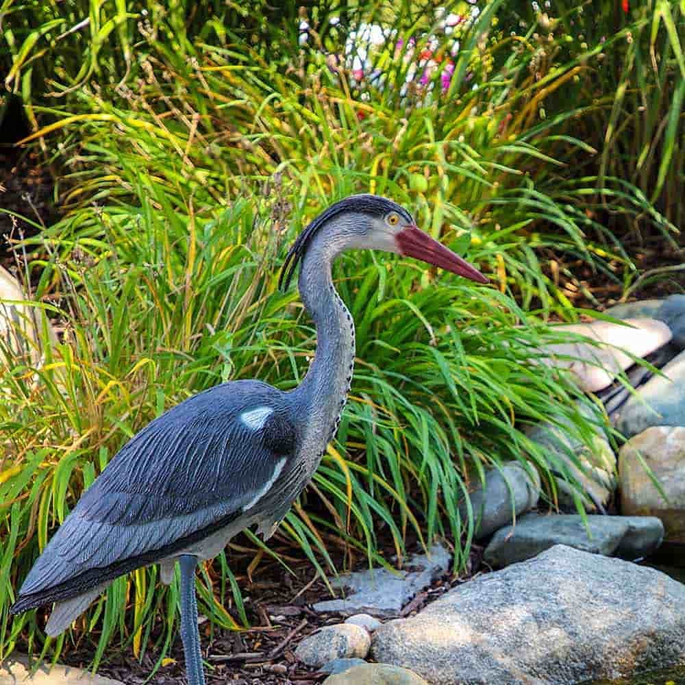 Great Blue Heron Decoy