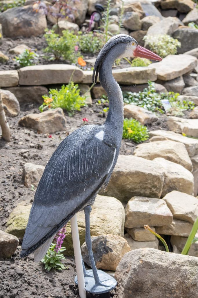 Great Blue Heron Decoy