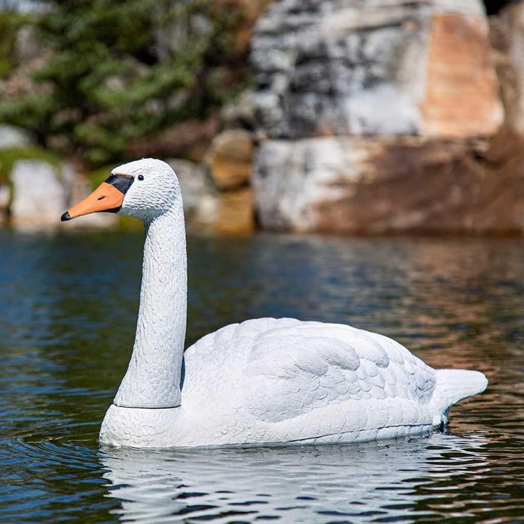 Swan Decoy