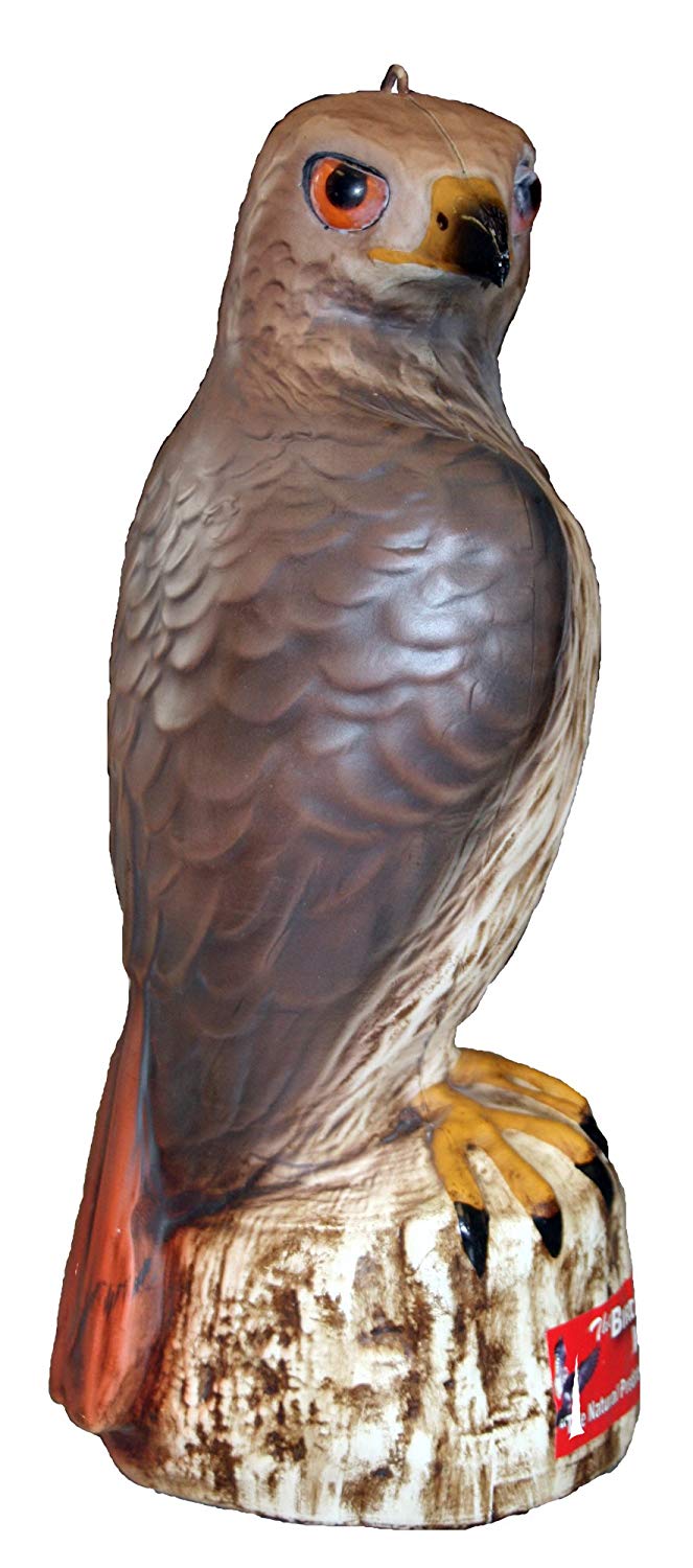 Hawk Decoy The Garden and Patio Home Guide