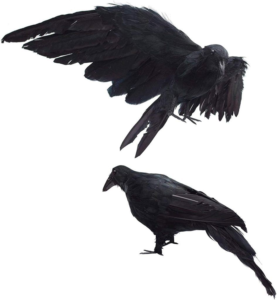 Dead Crow Decoy The Garden and Patio Home Guide